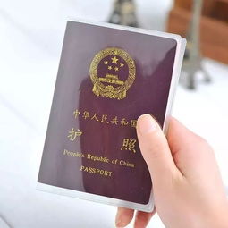 定了！海口人可坐高鐵直達(dá)泰國(guó)，往返票價(jià)竟比飛機(jī)便宜一半